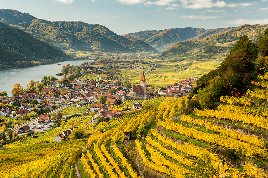 Leer más: El vino según la ley de Austria y las clasificaciones de Wachau